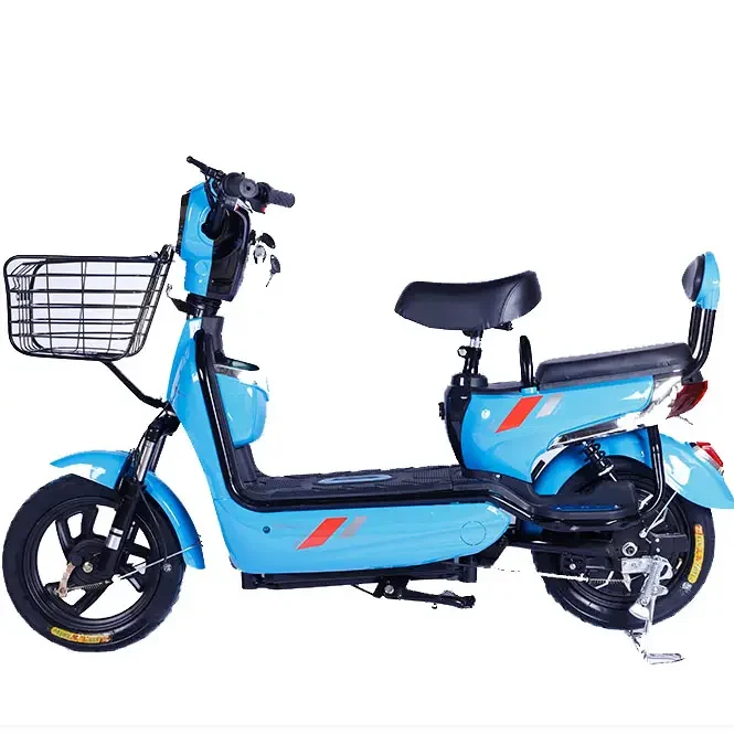 Golden Eagle Trunk03 1.webp